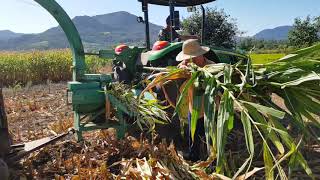 Silagem  John Deere 5060E  Nogueira EN 6700 F4 [upl. by Nosille]