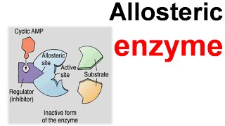 Allosteric enzyme [upl. by Euqimod]