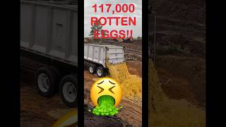 117000 Rotten Eggs 🤮 gross [upl. by Ikik554]