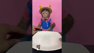 Monkey eating food satisfyingvideo monkey animals hungrybubu funny cute babymonkey [upl. by Amhsirak]