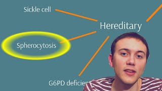 Anemia explained 13 [upl. by Laktasic]