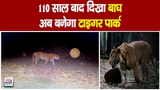 Kalesar National Park  110 साल बाद दिखा बाघ अब बनेगा टाइगर पार्क  Track Camera  Haryana Tiger [upl. by Anissa]