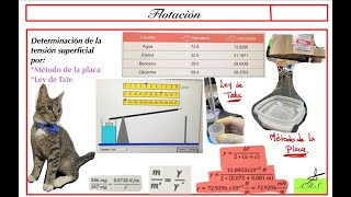 Determinación de la tensión superficial mediante los métodos del portaobjetos y la ley de Tate [upl. by Swithin]