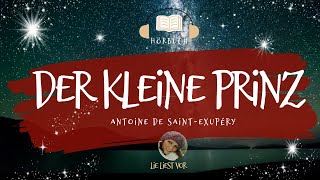 Der kleine Prinz komplettes Hörbuch zum Einschlafen und Träumen Antoine de SaintExupéry [upl. by Waller]