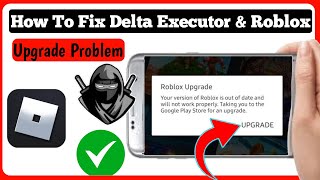 How to Fix Delta Executor Upgrade Problem 2024  Fix Roblox Upgrade Error [upl. by Annayr877]