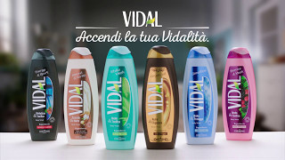 Vidal  Accendi la tua Vidalità [upl. by Brothers]