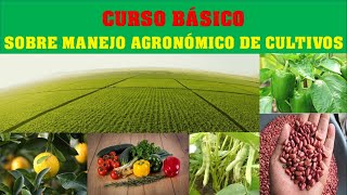 CURSO BÁSICO DE AGRONOMÍA GRATIS CON DIPLOMA ciencia [upl. by Muriah93]