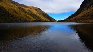 Documental El Agua de los Paramos y bosques de neblina [upl. by Lleze138]