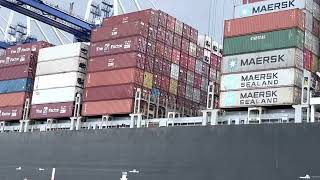 Huge Cargo Ships Unloading Shipping Containers [upl. by Moe799]