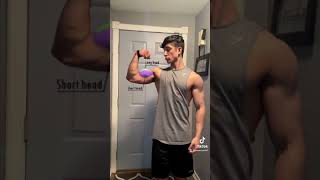 How to grow your bicep width Best exercises for wider biceps [upl. by England]