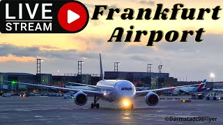 ✈️ Frühaufsteher  Frankfurt Airport Live  Frankfurt Planespotting [upl. by Cornel]