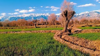 Parachinar beauty پاراچنار کی خوبصورتی parachinarbeauty [upl. by Millda]