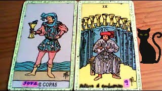 Combinaciones tarot con la SOTA de COPAS  ARCANOS MENORES DE COPAS Por TARA [upl. by Akirdnwahs959]