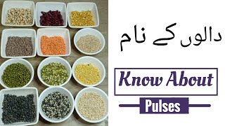 Know about Pulses  Pulses Names  دالوں کے نام  Daaloun Ki Pehcnan  Pakistani Pulses Names [upl. by Ecylahs]