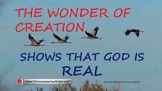 The Wonder of Creation Shows that God is Real [upl. by Eemia]