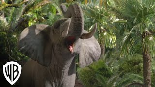 Journey 2 The Mysterious Island  Small Elephant  Warner Bros Entertainment [upl. by Cattima517]