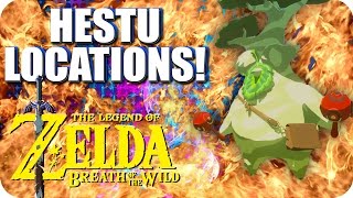 Hestu Locations and Lost Forest guide  Zelda BOTW [upl. by Einahpad781]