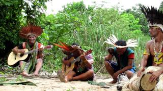 Shaman Songs of the Amazon Rainforest Pasha Dume [upl. by Dnanidref]