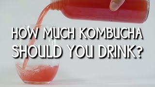 How Much Kombucha Should I Drink [upl. by Norrahs]