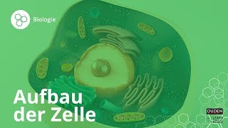 VERGLEICH VON TIERZELLE UND PFLANZENZELLE  Biologie  Biologie der Zellen [upl. by Adnilasor]