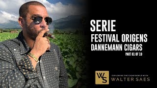 Part 110 Serie Festival Origens 2017 BahiaBrasil  Dannemann Cigars  Charutos [upl. by Branden]