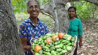 Cashew Nut Curry ❤ Healthy Village Food by Grandma and Daughter  Village Life [upl. by Haag]