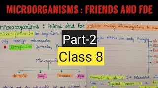 Microorganisms friend and foe class 8  Microorganisms friend and foe chapter 2 class 8 [upl. by Assylem]