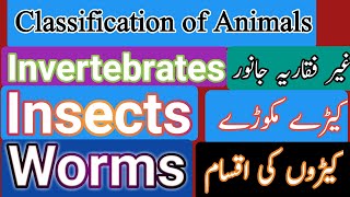 Animals classifications in Urduinvertebrates types in Urdu for Class 5invertebrates kinds in Urdu [upl. by Brooke]