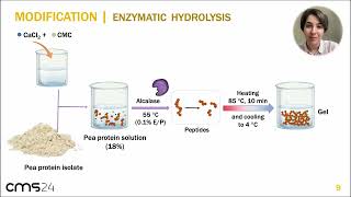 Niloufar Nourmohammadi  Improving Digestibility of Peabased Nuggets Through Enzymatic Hydrolysis [upl. by Nerha910]