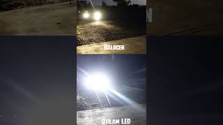 Which Lights are better Halogen vs Oxilam LED Lights [upl. by Ferwerda]