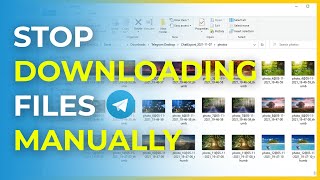 How to Download All Files from a Telegram Chat  Group [upl. by Ilrak]