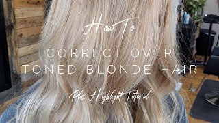 How To Correct Over Toned Hair and Bonus Highlight Tutorial  Hair Tutorial [upl. by Rezal]