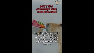 TailorMade Diet Best Food for Your Dogs Age amp Size [upl. by Mientao]