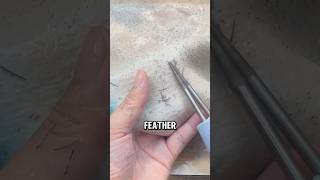 Efficient Electric Poultry Feather Plucker A StepbyStep Guide😅😅 wildanimalfacts facts [upl. by Palma602]