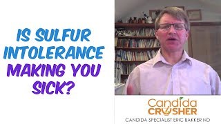 Is Sulfur Intolerance Making You Sick  Ask Eric Bakker [upl. by Eleda]