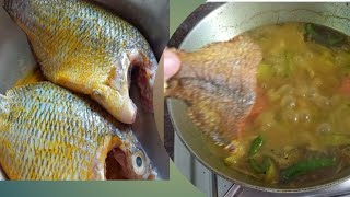 তেলাপিয়া মাছের ঝোলtilapia macher jholalu potol diye tilapia macher jhol [upl. by Elyagiba]