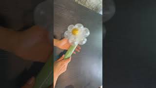 Balloon flower diy ballooncutebynook balloonflower howto howto shorts [upl. by Odlanar558]