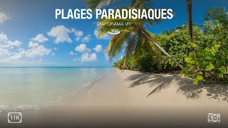 Plages paradisiaques à 360°  Diaporama VR  11k [upl. by Chastain]