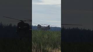 Chinook on The Side of The Road💀 [upl. by Alamaj]