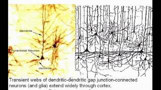 A New Marriage of Brain and Computer [upl. by Airres]