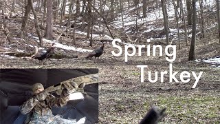 Spring Turkey Hunt in Iowa [upl. by Inalej]