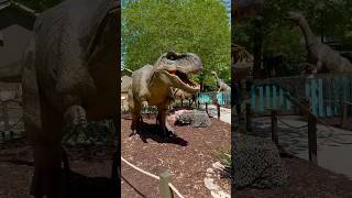 Look who is back dianosaur wildanimals themepark ytshorts [upl. by Nytsuj]