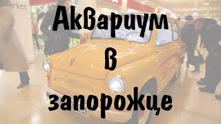 Аквариум из запорожца в Колпино [upl. by Aciamaj699]