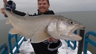 How To Pier Fish For Salmon Steelhead And Lake Trout Casting From Shore [upl. by Kalle271]