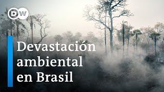 Bolsonaro esquiva Glasgow y envía a su ministro del ramo [upl. by Bakerman]