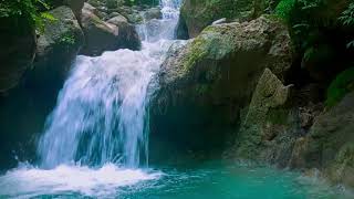 The gentle flow of streams the relaxing sounds of nature white noise for deep sleep stress relief [upl. by Edina]