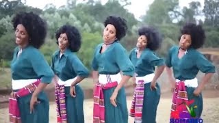 Best Ethiopian Traditional Music 2014 Solomon Demle  Mech Ayeshiwuna [upl. by Okajima]