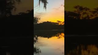 Sunrise on Caddo Lake fishing caddolake bassfishing lakelife [upl. by Steve590]