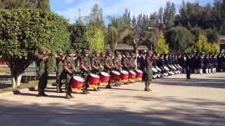 Honores a la Bandera por el 95 Batallón de Infantería [upl. by Mehalick]