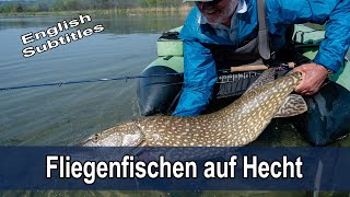 Fliegenfischen auf Hecht mit Rudi Heger  inkl LIVE BISSE und GROSSHECHT  Tipps amp Ausrüstung [upl. by Lamp]